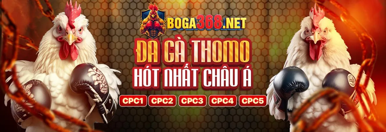 Trận đá gà trực tiếp kịch tính tại 678win Nổ Hũ